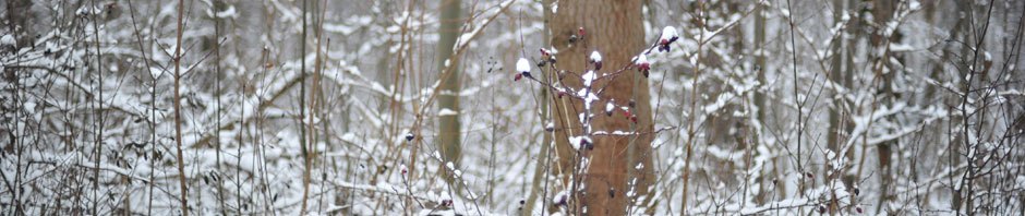 University Work Year 1